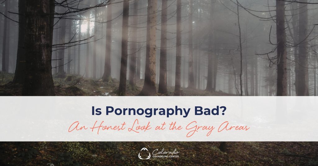 Sunlight filtering through a foggy forest with the text "Is Pornography Bad? An Honest Look at the Gray Areas"